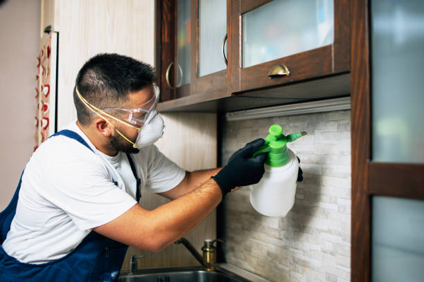 Best Pest Control Treatment  in Crystal Lake, CT