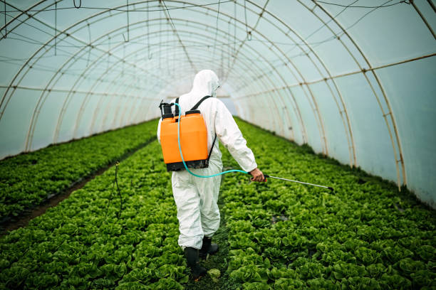 Best Mosquito Control Services  in Crystal Lake, CT