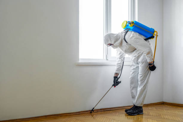 Best Wildlife Control Services  in Crystal Lake, CT