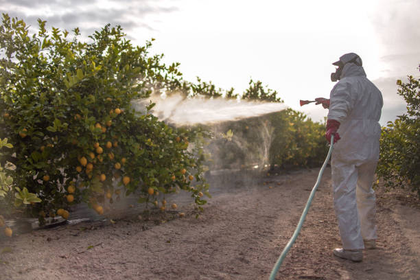 Best Commercial Pest Control Services  in Crystal Lake, CT
