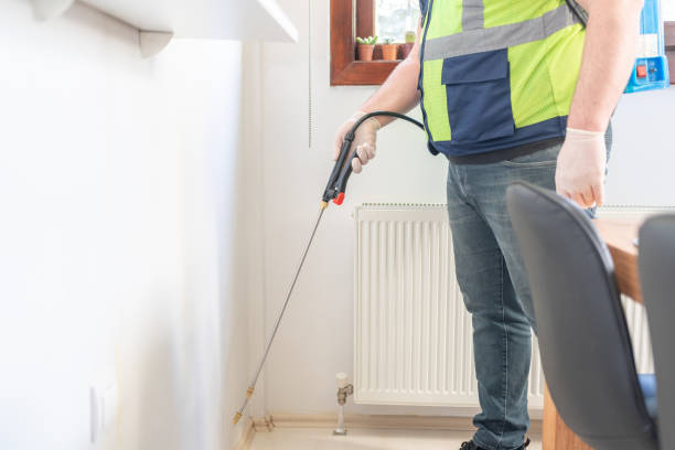 Best Affordable Pest Control Services  in Crystal Lake, CT