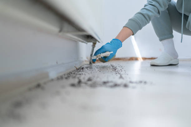 Best Pest Inspection Near Me  in Crystal Lake, CT