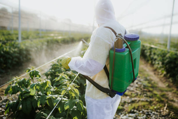 Best Pest Removal Services  in Crystal Lake, CT